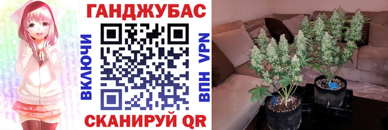 Купить Куйбышев ГАШ  Alpha PVP  Мефедрон 