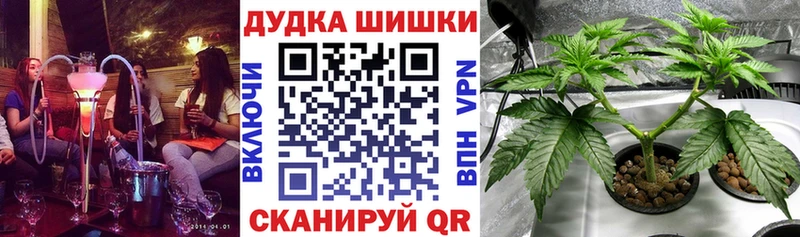 Шишки марихуана индика  Куйбышев 